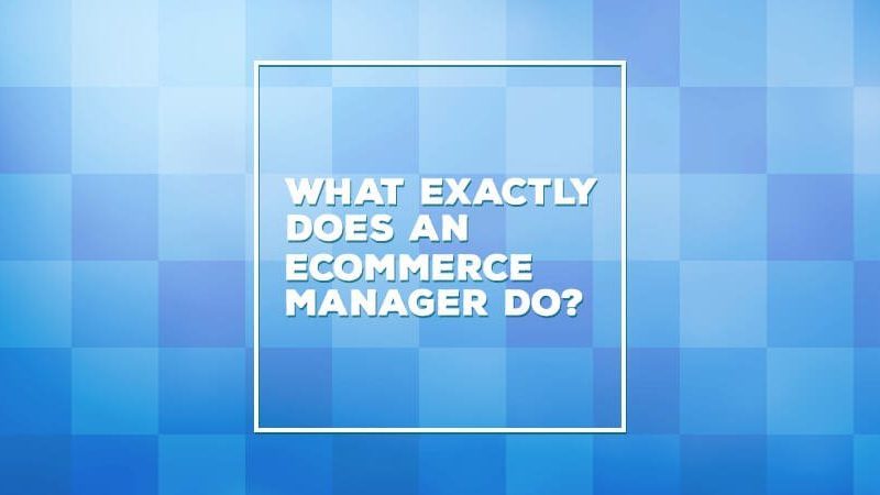 What does an ecommerce manager do?