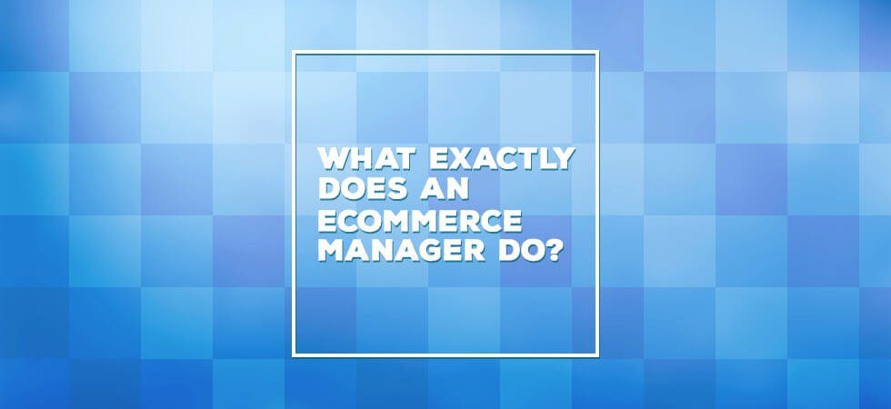 What does an ecommerce manager do?